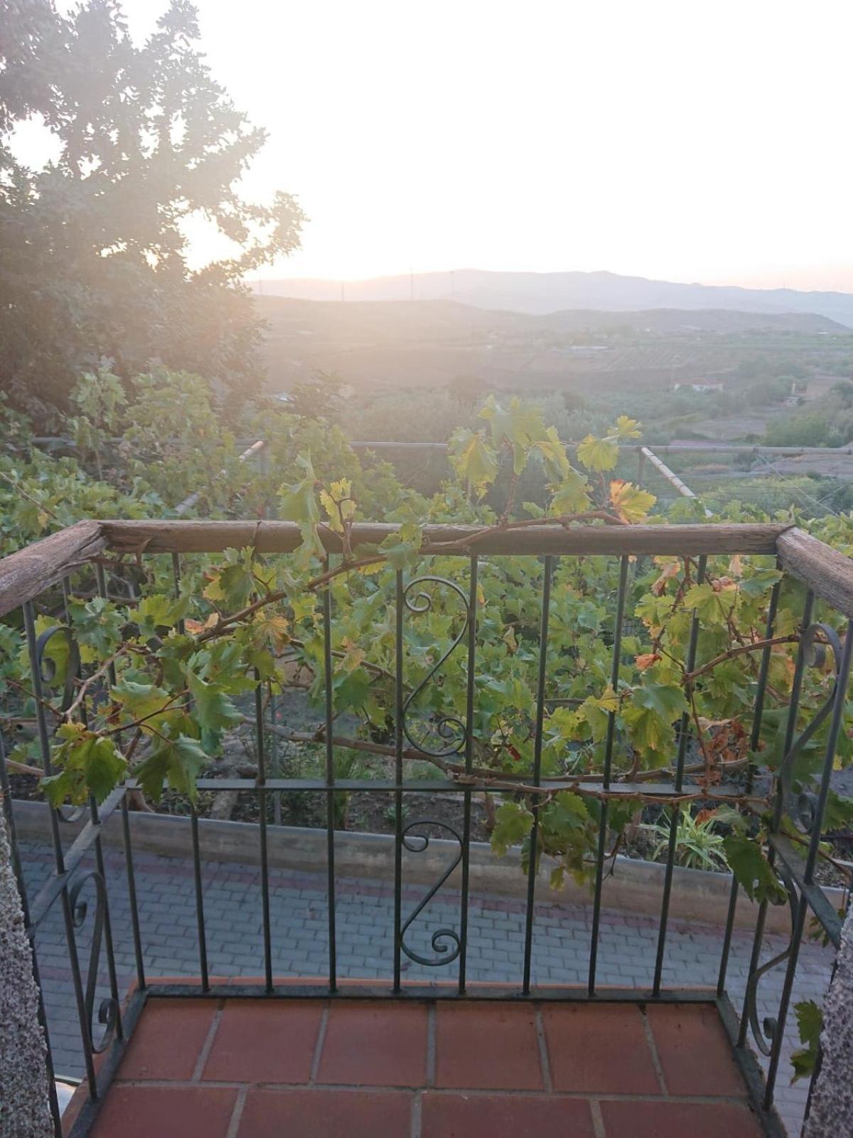 Un Balcon A Sierra Nevada Villa Lecrin Eksteriør billede